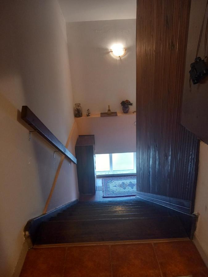 בלגרד Cosy Rooftop Studio With Balcony מראה חיצוני תמונה