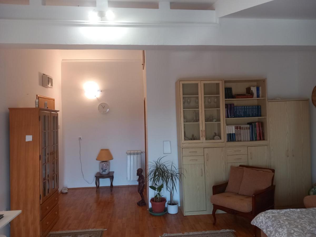 בלגרד Cosy Rooftop Studio With Balcony מראה חיצוני תמונה